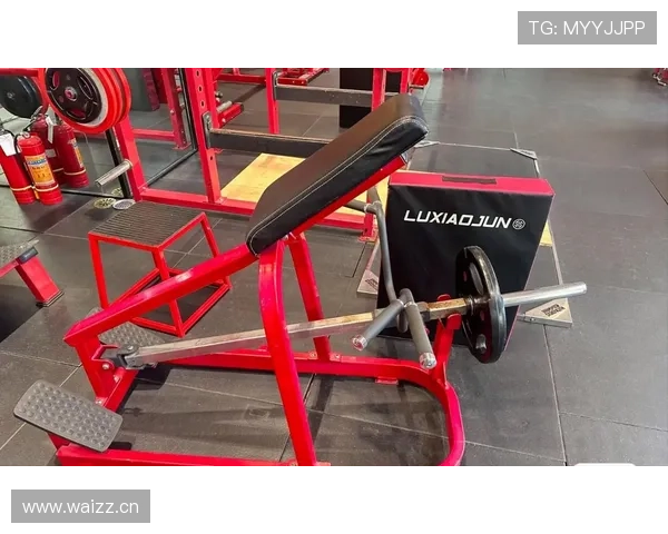 张继科又开始健身？家里器械比健身房多一百倍吧！